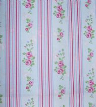 Floral Stripe rose